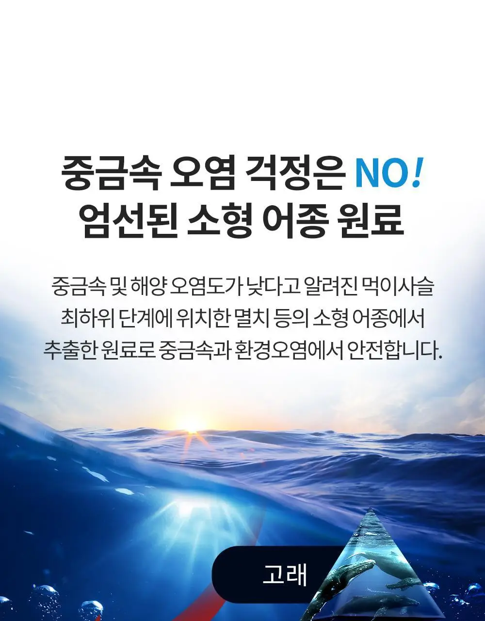 [고함량 오메가3] 그린몬스터 맥스 알티지(rTG) 오메가3 60캡슐 (1개월분) 상세페이지 13
